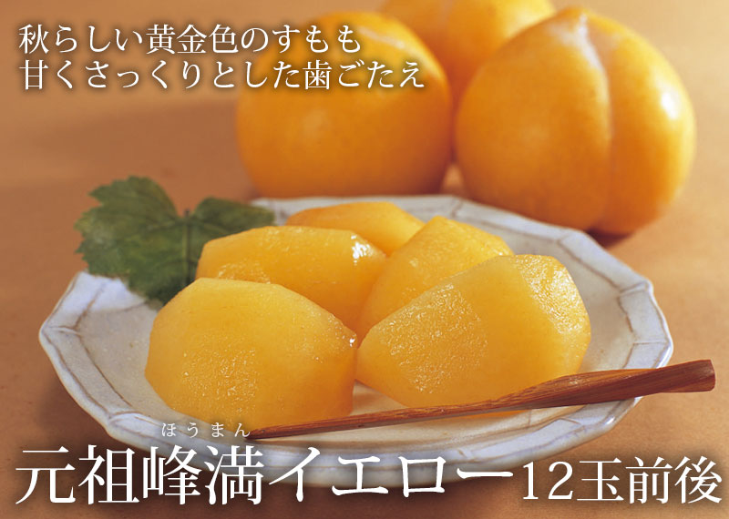 元祖 峰満イエロー 12玉前後入 山形県産地直送 すもも 元祖峰満イエロー 清川屋