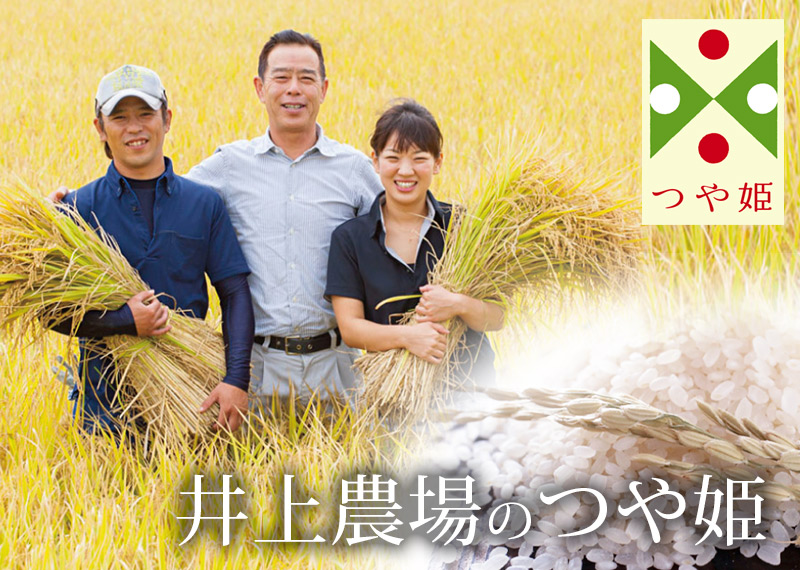 井上農場の つや姫 10kg 山形県産 特別栽培米 令和3年度産 井上農場のつや姫 清川屋