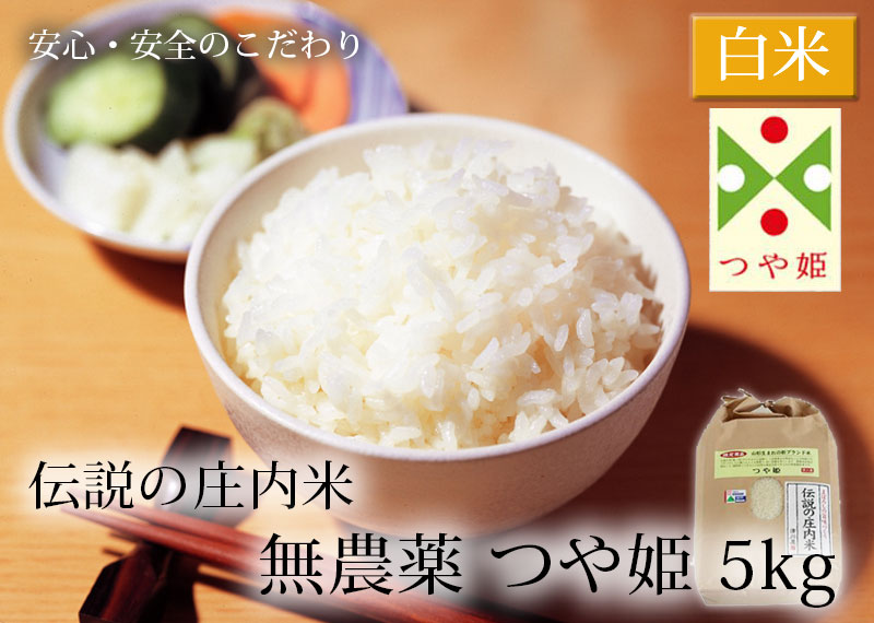 伝説の庄内米 無農薬つや姫 5kg 山形県産 特別栽培米 令和2年度産 つや姫 清川屋