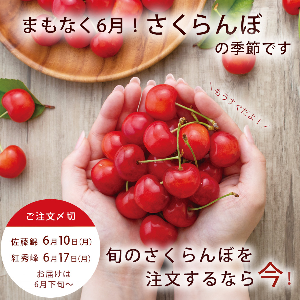 ≪送料が変わります≫旬のさくらんぼのご予約は今！！【清川屋】 24.05.30